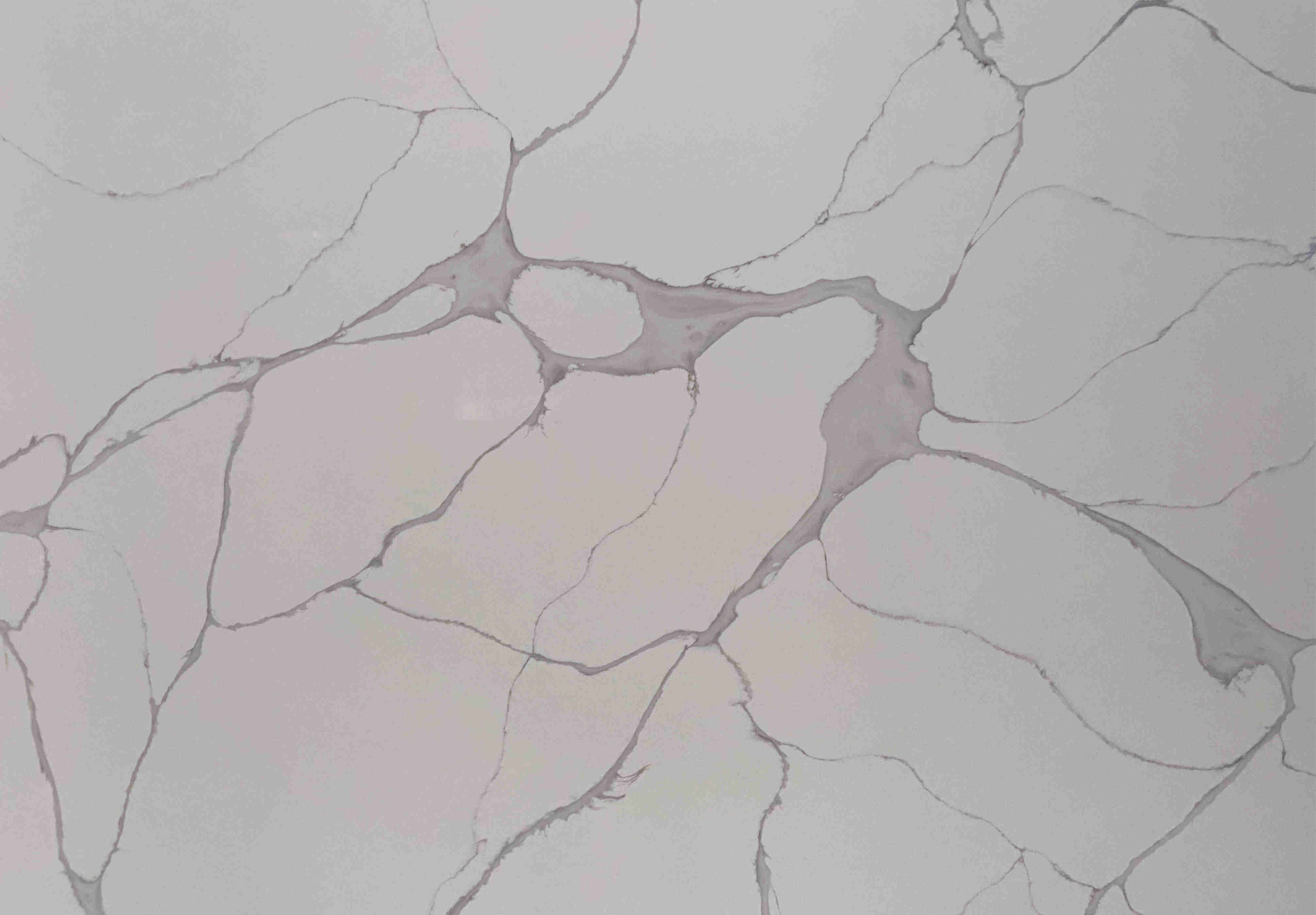 White Quartz with Grey Veins | Calacatta Quartz | 8118